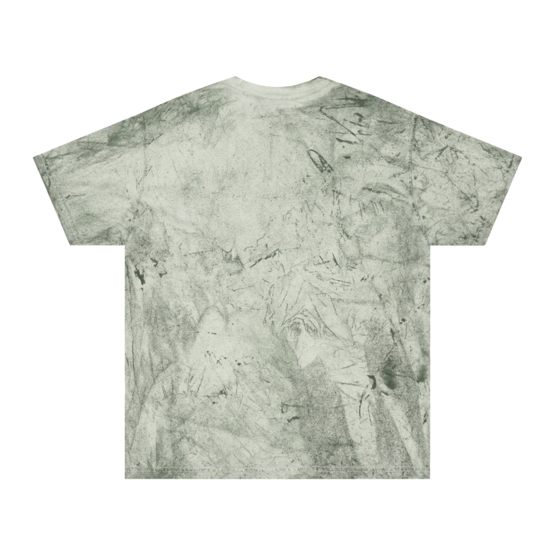 B.C. Riley Color Blast T-Shirt  Available in Citrine, Smoke, Fern, Ocean, Amethyst, Clay