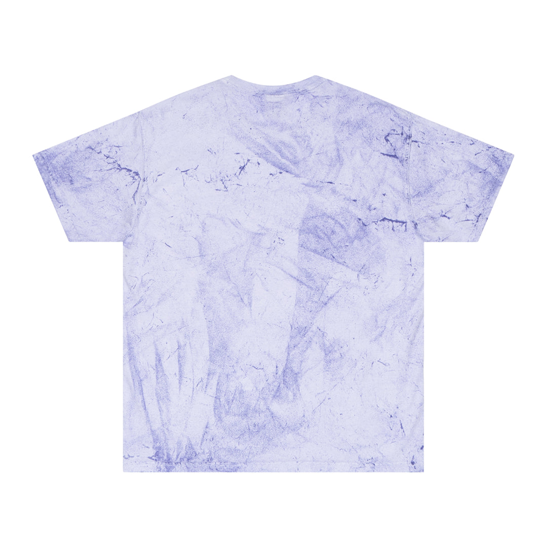 B.C. Riley Color Blast T-Shirt  Available in Citrine, Smoke, Fern, Ocean, Amethyst, Clay
